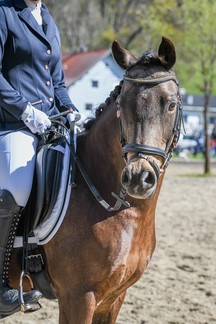 轉戰美國職 轉戰美國職