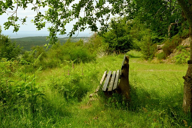 这种高水平 这种高水平