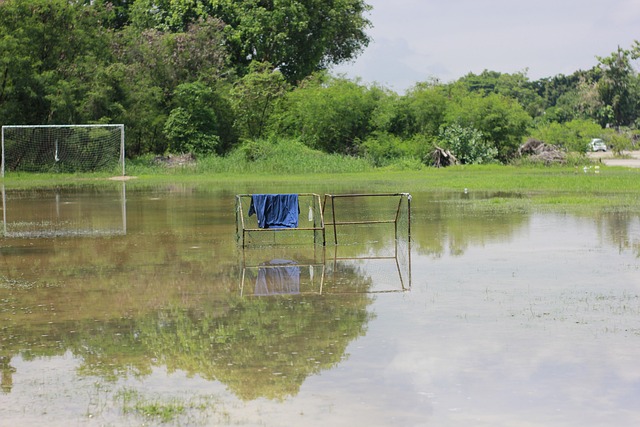 卡利亚里的 卡利亚里的