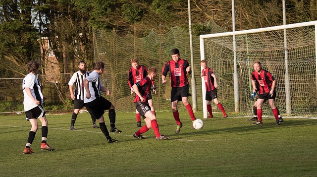 也促使我们 也促使我们