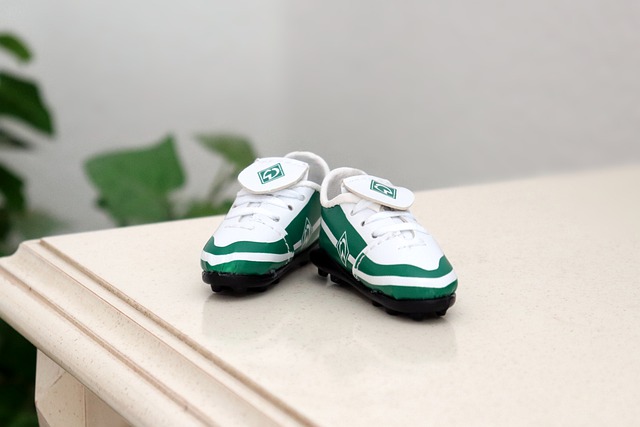 奇的固执和 奇的固执和