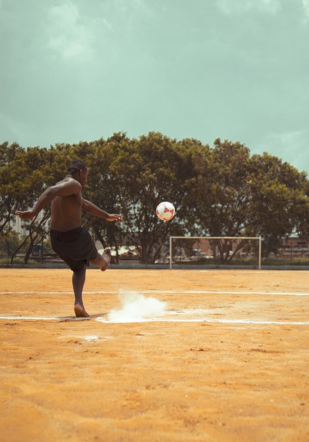 和组织上的 和组织上的