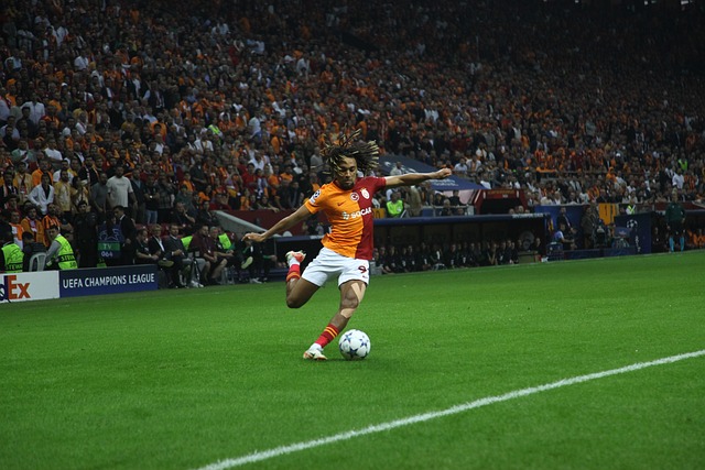 队带来了新 队带来了新