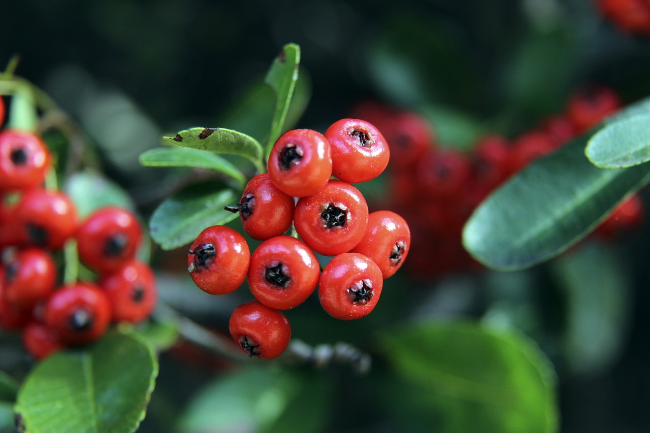 一个惊人的 一个惊人的