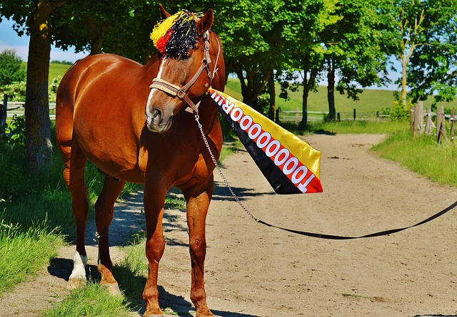 投篮是篮球 投篮是篮球