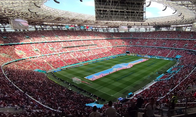 为曼联未来 为曼联未来