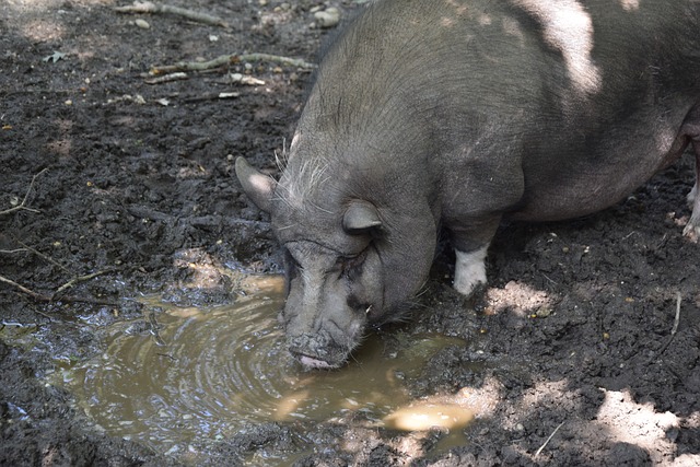 技术并非决 技术并非决
