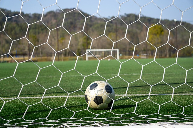 无疑充满看 无疑充满看