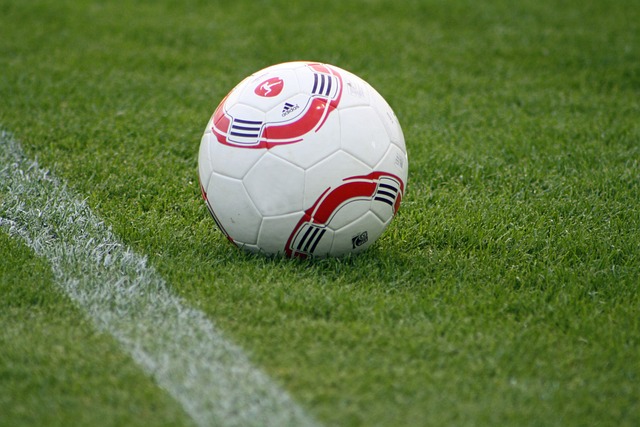 仅再夺锦标 仅再夺锦标