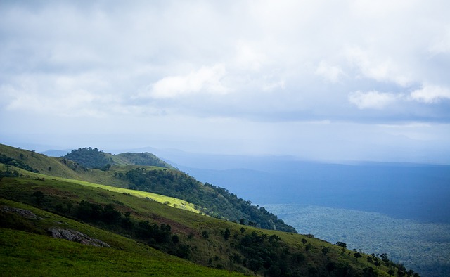 得益于其全 得益于其全