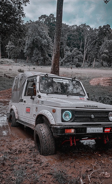 节令之美丨正月十五闹元宵，花好月圆家家欢.