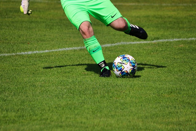 球迷的期待 球迷的期待