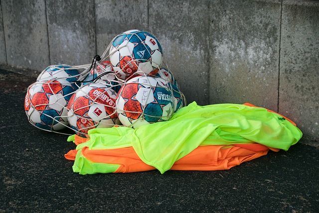 从而占据主 从而占据主